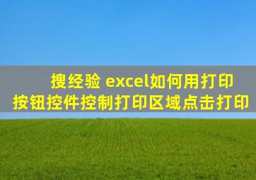 搜经验 excel如何用打印按钮控件控制打印区域点击打印